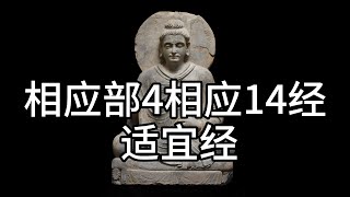 相应部4相应14经 适宜经，中文白话翻译。（150）