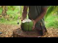 punakea palms coconut farm maui hawaii in 4k for destination hotels