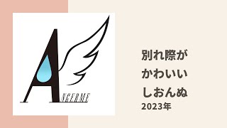 【アンジュルム】別れ際、視界から消えるまで手を振ってくれるしおんぬの様子についてかわむー、れら、ケロがトーク