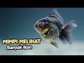 Arti Mimpi Melihat Ikan Banyak