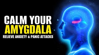 Calm Your Amygdala | Lessen Fear Response In Body | Relieve Anxiety & Panic Attacks | Calming Music
