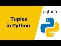Python Tutorial 15 - Tuples in Python