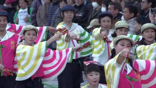 妃龍〔ふるさと祭り東京2016_クリスタルアベニュー20160110〕