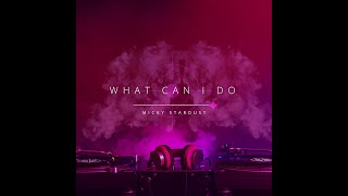 Micky Stardust - What Can I  Do #avicci #house #deephouse #bigroom