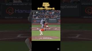 【大谷翔平】vsタイラー・ロジャース 2024 Tyler Rogers Shohei Ohtani #shorts