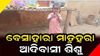 ବେସାହାରା ମାତୃହରା ଆଦିବାସୀ ଶିଶୁ  || Anudhyan Tv