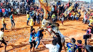 KD BROTHERS GUTLAPALLI JALLIKATTU 2022 Mass performance