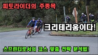 [피토라이더] Seward Park 크리테리움 대회! 코스에 따른 맞춤 전략법은?