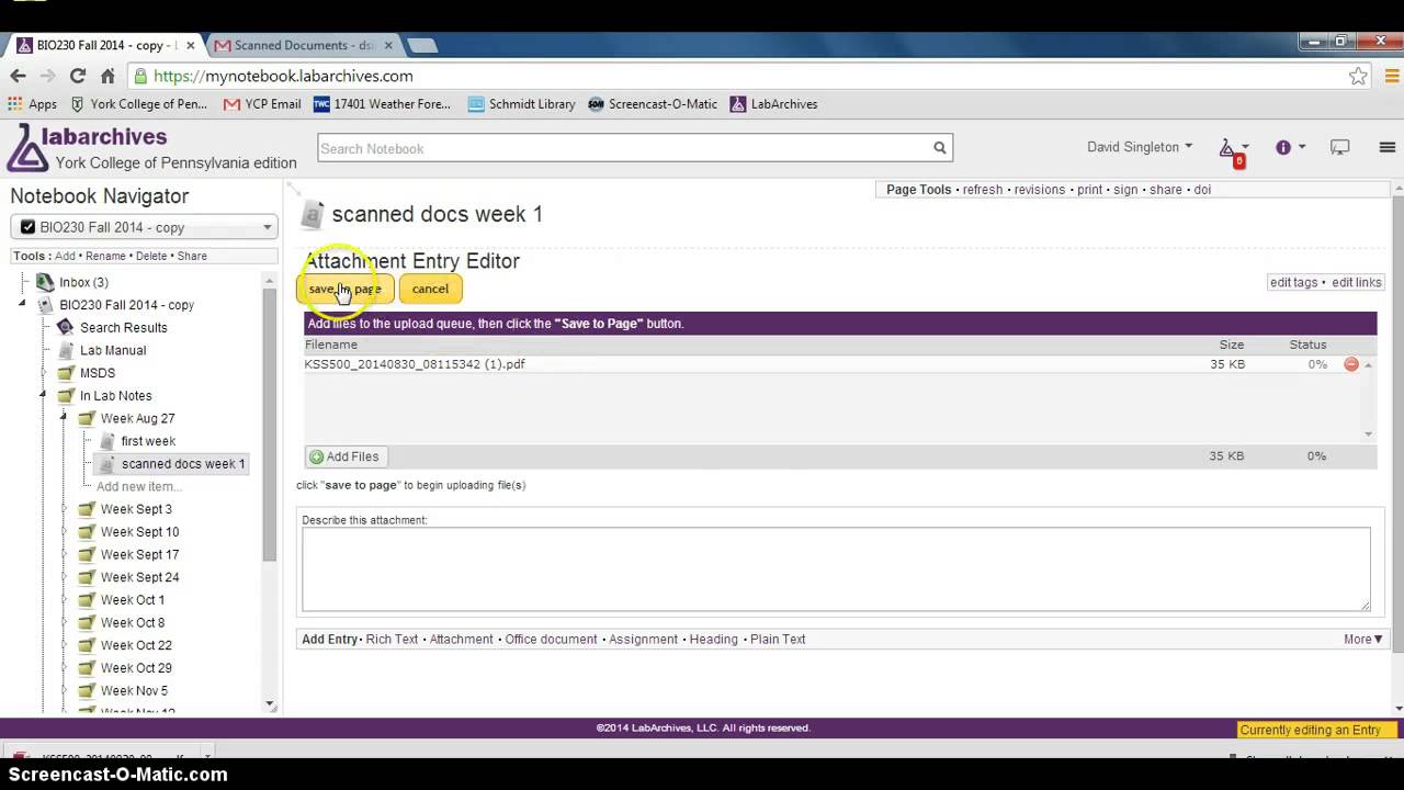 How To Use Lab Archives Youtube
