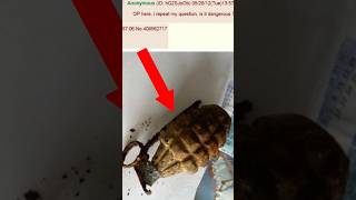 When 4chan Finds A Grenade