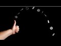 Coin tossing || Random Walk in python