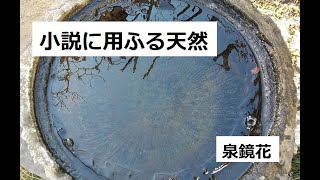 小説に用ふる天然　作：泉鏡花