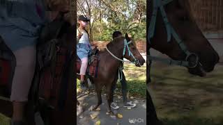 Blinky’s Pony Ride: Lopburi Zoo ขี่ม้าชมสวนสัตว์ลพบุรี