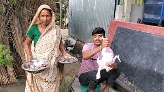 আজ অনু মামা শশুর বাড়ী কি কি রান্না করলো | Village Style Chicken Curry | Village Soil