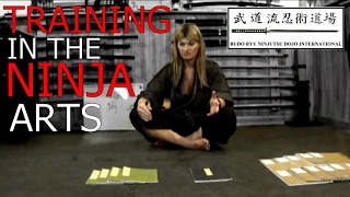 Training in the Ninja Arts | Ninjutsu (忍術) Ninpo (忍法)