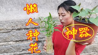 这样种盆栽懒人有神器，养花种菜7天免浇水，再也不怕干枯发蔫啦