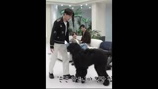 #jhope with dogs 😁😇 #hobi #bts