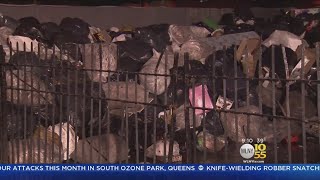 Smelly Problem Plagues Bronx NYCHA Building