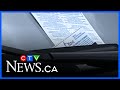 Thousands of drivers ticketed in ByWard Market
