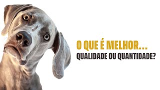 O QUE É MELHOR... QUALIDADE OU QUANTIDADE?