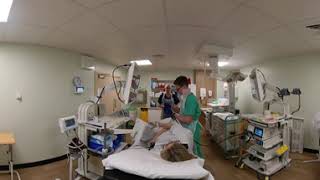 Endoscopy VR 360 - Post-Polypectomy Bleeding During EMR (pt4) Clinical Simulation