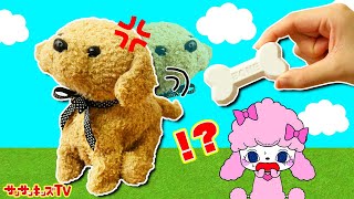 【お世話ごっこ】プリルはわんこが欲しい～！！ペットのワンちゃんをお世話できるかな？ココさかだちして・子供向け知育・教育★サンサンキッズTV★