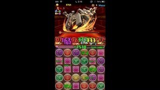 【パズドラ】炎の神秘龍 超級 ホルスパーティ