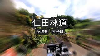 【茨城県大子町】仁田林道