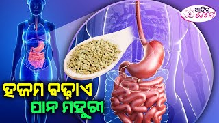 ହଜମ ବଢ଼ାଏ ପାନ ମହୁରୀ || AJIRA CHETANA