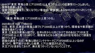 [日本]NHK｢東京 青海ふ頭 ヒアリ200匹以上見つかる」