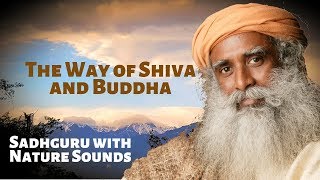 The Way of Shiva and Buddha - Sadhguru with Sounds of Nature