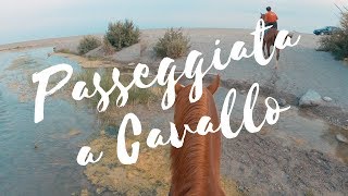 Passeggiata a cavallo in spiaggia Sicilia