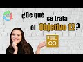 ¿De qué se trata el Objetivo 12- Producción responsable? - Objetivos de Desarrollo Sostenible