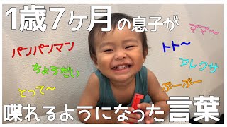 【赤ちゃん言葉】1歳7ヶ月で喋れる言葉が増えて少し会話が？？/最近の寝る前の遊びルーティン