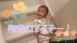 階段上れるようになったぞ！～１歳1ヶ月～