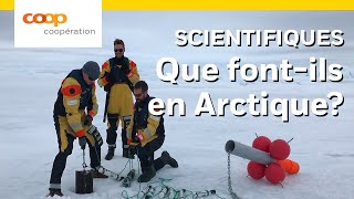 Que font les scientifiques en Arctique?