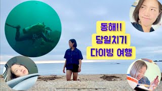 [대한민국 🇰🇷]  / 슬리슬쩍 국내 동해 -고성 천학정-스쿠버다이빙! 알찬 당일치기 여행!