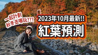 [LIVE]最新日本紅葉預測(10月公佈)🍁集思廣益 一起計劃去哪裡賞紅葉？ #日本旅遊 #在日港人 #日本紅葉