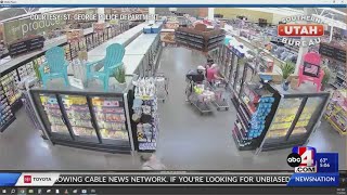 Police are looking for southern Utah theft suspects