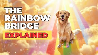 The Rainbow Bridge Explained 🌈 — What Every Dog Lover NEEDS to Hear (You’re Not Alone)