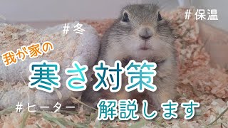 寒さ対策・保温のおすすめグッズを紹介！【リチャードソンジリス】【デグー】