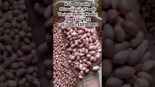 #new #top #quality #peanut #oil #seeds #best #variety  #farming #food #check #india #groundnutoil