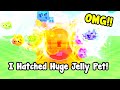 I Hatched Huge Jelly Axolotl And Secret Jelly Pet In Pets Go!