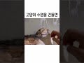 도래 수염을 건들면 #cat #catshorts #재밌는동영상 #반려동물 #cute #동물 #재미있는 #유머