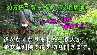 93.【30万円で買った別荘】激安草刈機でもここまでできる！伸びた葦を刈り、竹を切って道を作りました。これで川へ遊びに行けます。