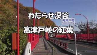 高津戸峡のゴリラ岩とポットホール