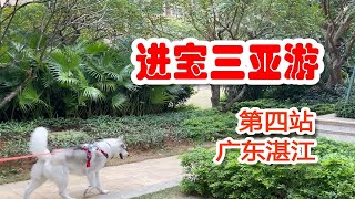 【进宝三亚游】北京到三亚带狗长途自驾游，第四站广东湛江