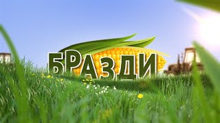 БРАЗДИ - 7.3.2021 - BRAZDI