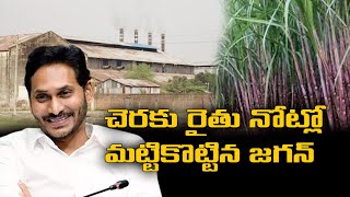 చెరకు రైతుకు జగన్‌ తియ్యని మాట..నోట్లో మట్టికొట్టిన జగన్‌ || sugarcane cultivation