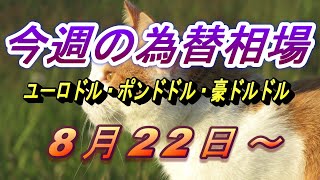 【TAKA FX】ユーロドル、ポンドドル、豪ドルドルの今週の為替相場の動きと来週の展望をチャートから解説。8月22日～